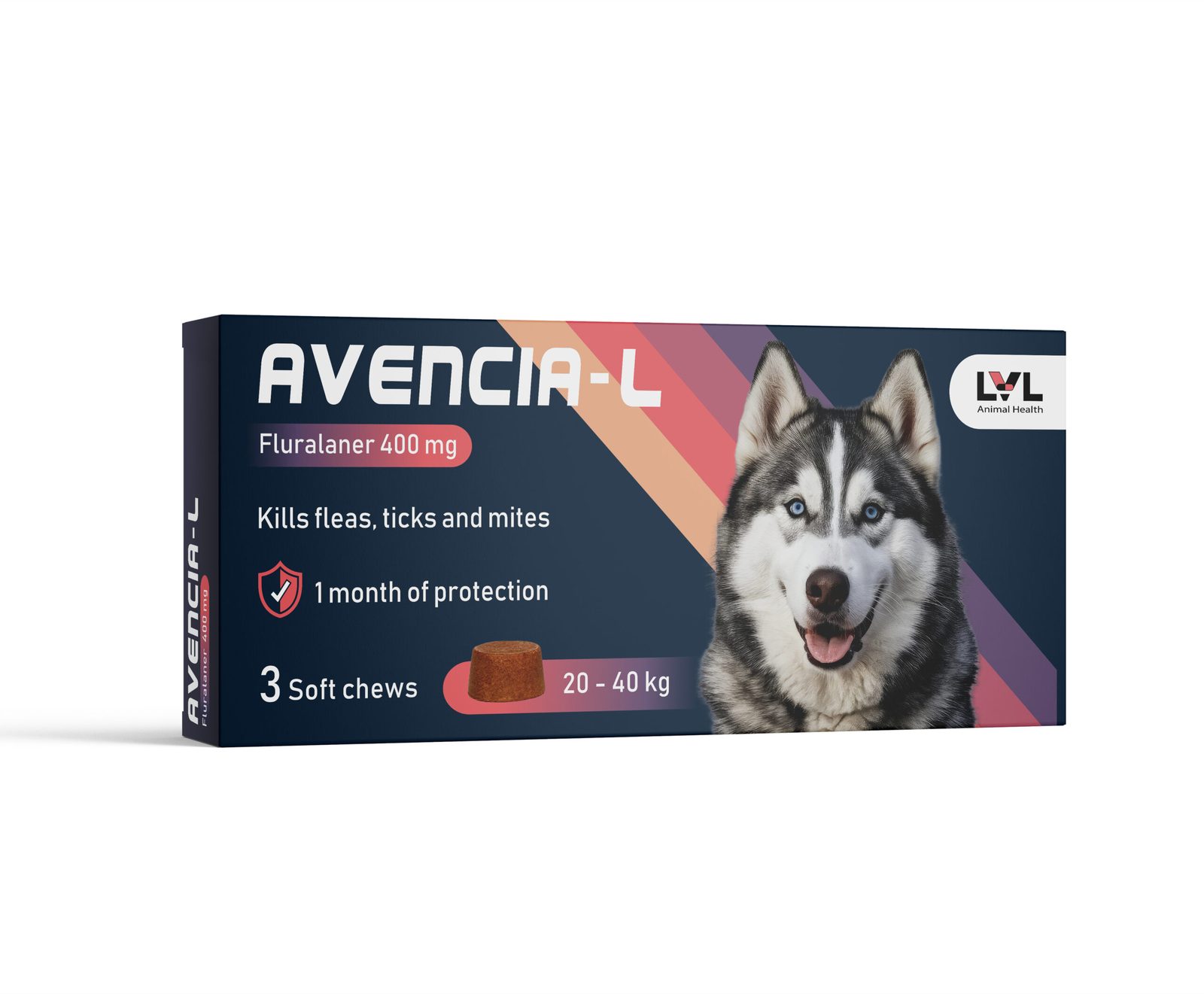 Avencia L ( 20 - 40 Kg )